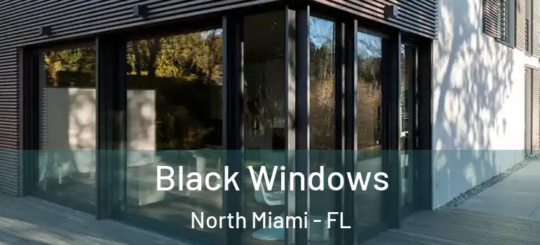  Black Windows North Miami - FL