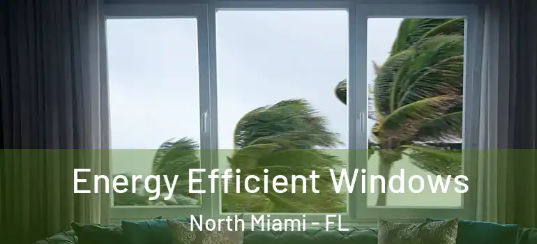  Energy Efficient Windows North Miami - FL