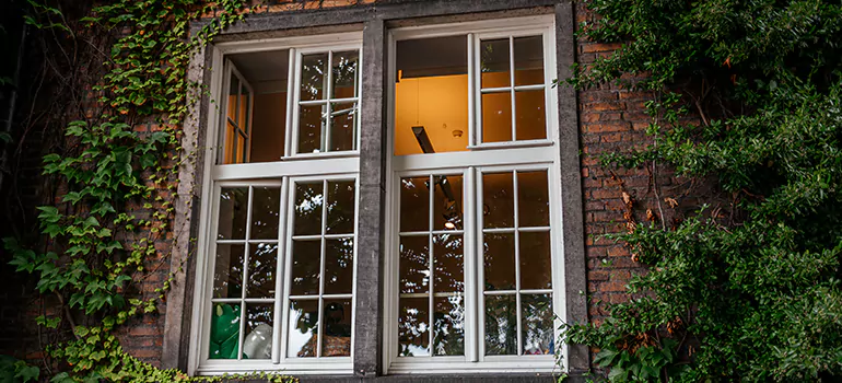 Energy Efficient Wood Windows in North Miami, FL