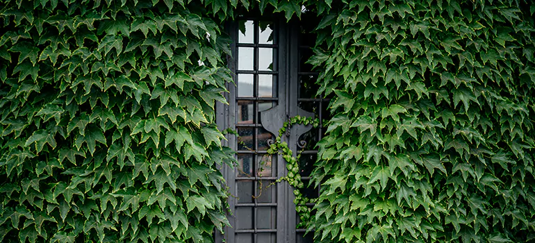 Garden Gate Repair in North Miami, FL