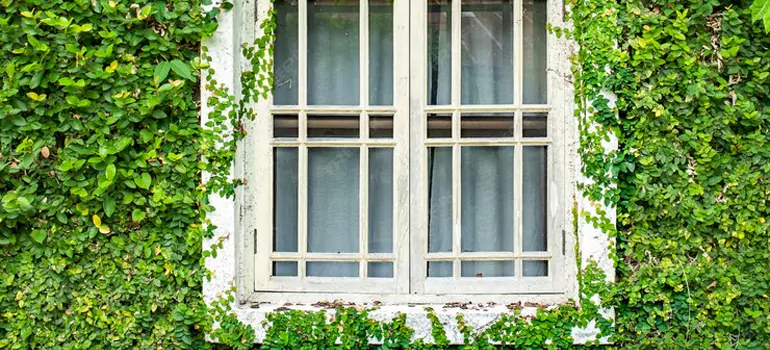 Garden Window Repair Near Me in North Miami, FL