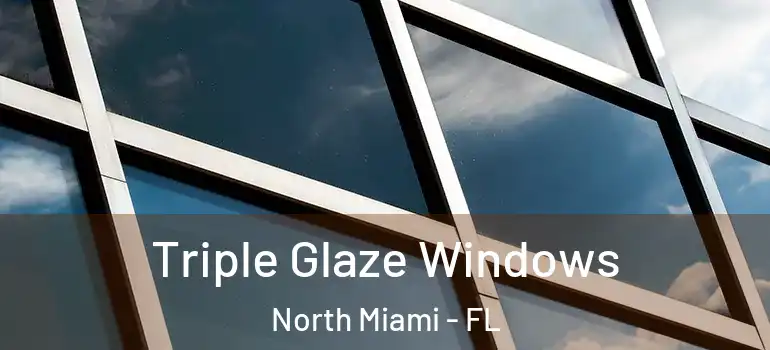  Triple Glaze Windows North Miami - FL